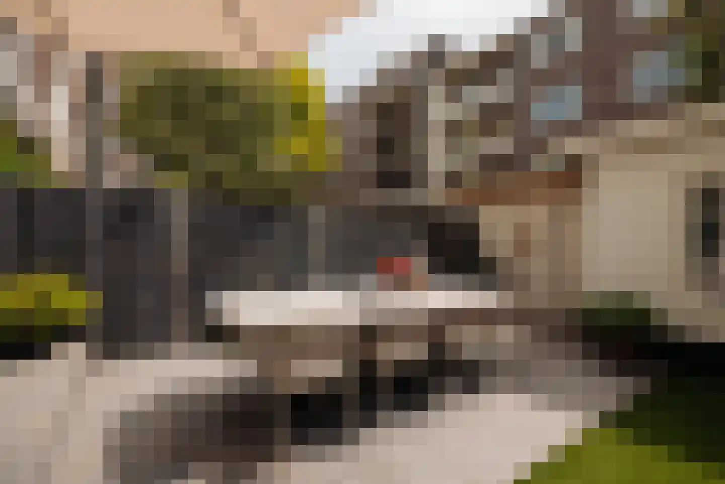 Tintorettostraat 13 2 Amsterdam thumbnail 47