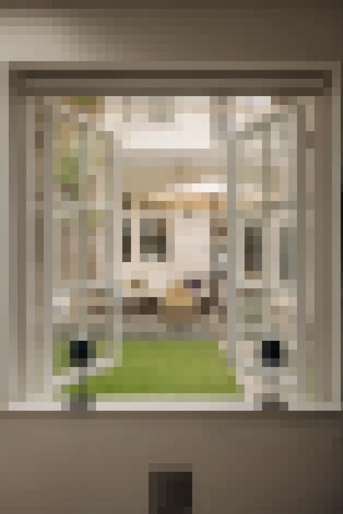 Tintorettostraat 13 2 Amsterdam thumbnail 53
