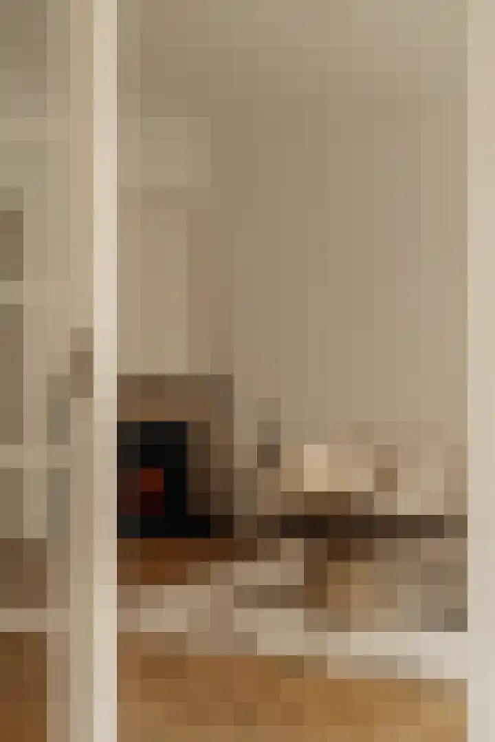 Tintorettostraat 23 1 Amsterdam thumbnail 22