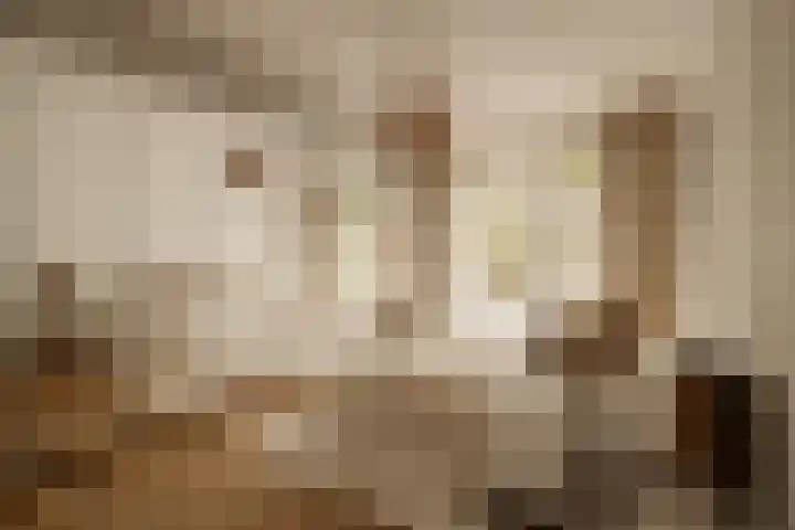 Tintorettostraat 23 1 Amsterdam thumbnail 25