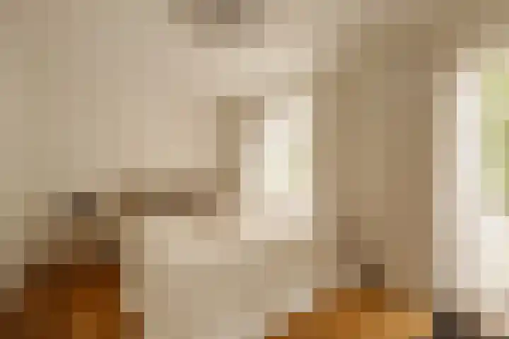 Tintorettostraat 23 1 Amsterdam thumbnail 32