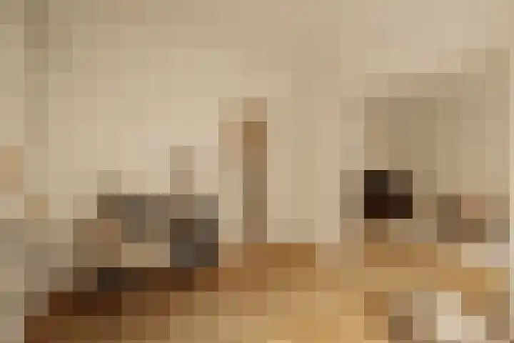 Tintorettostraat 23 1 Amsterdam thumbnail 7