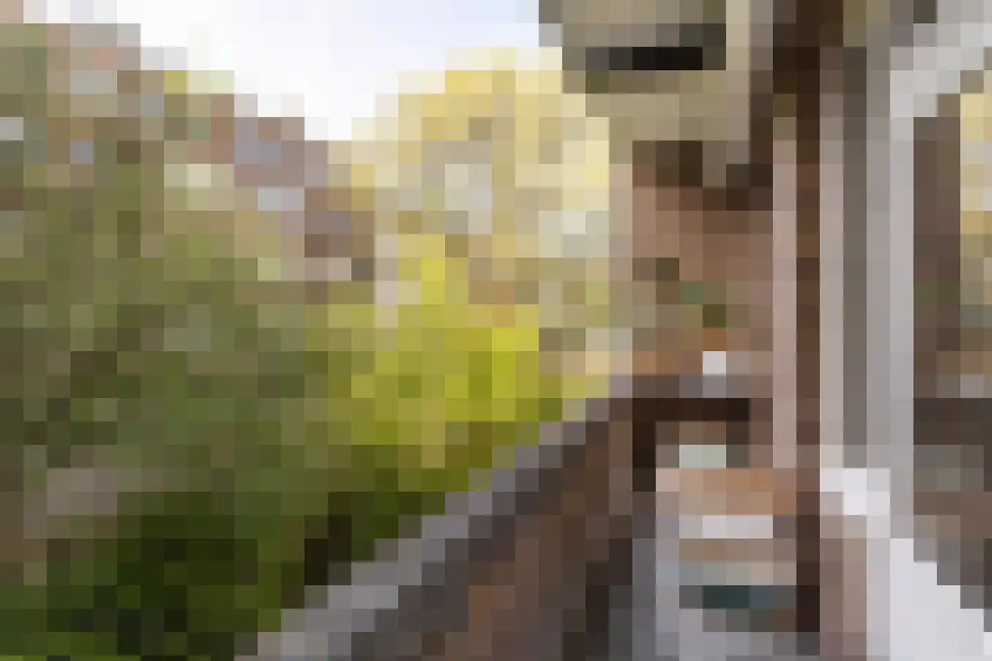 Tintorettostraat 5 H Amsterdam thumbnail 15