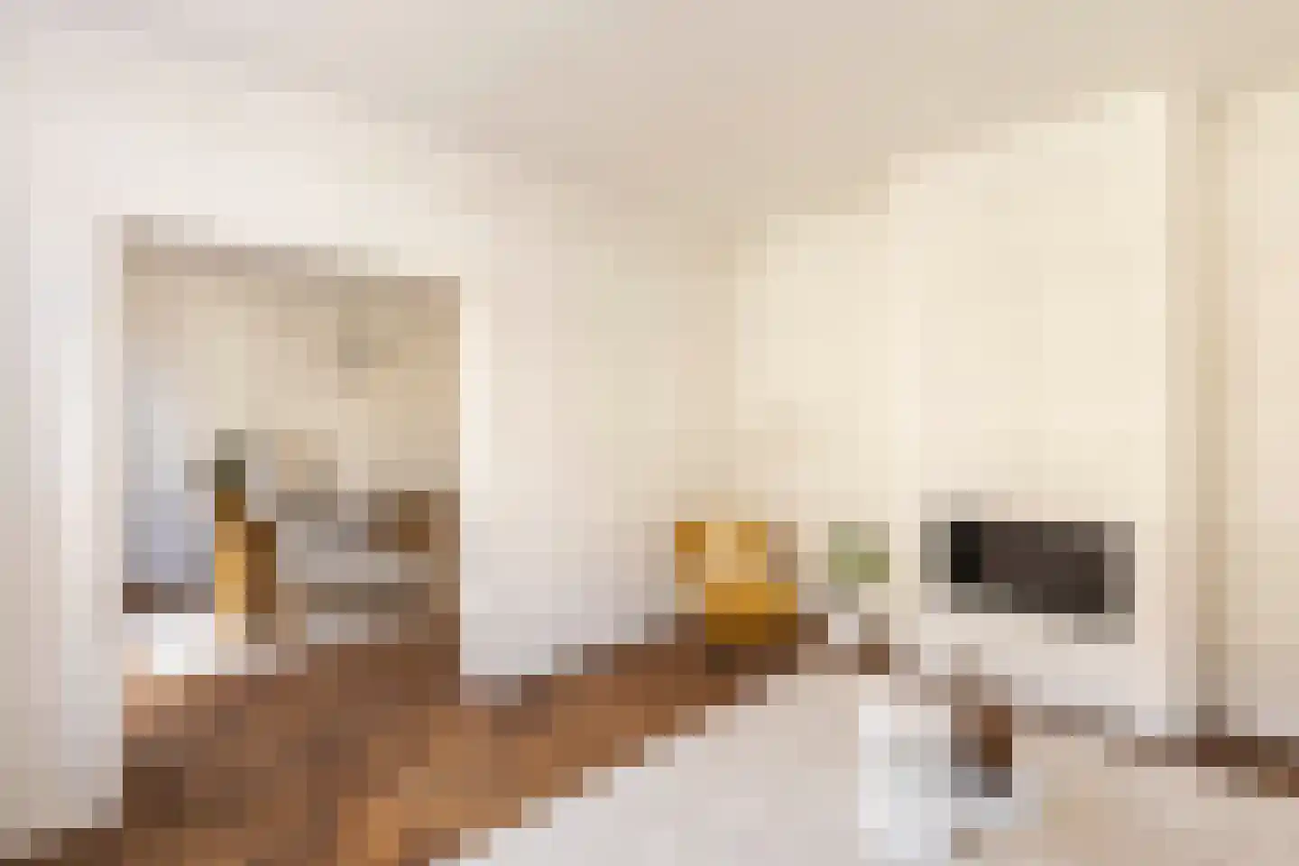 Tintorettostraat 5 H Amsterdam thumbnail 8