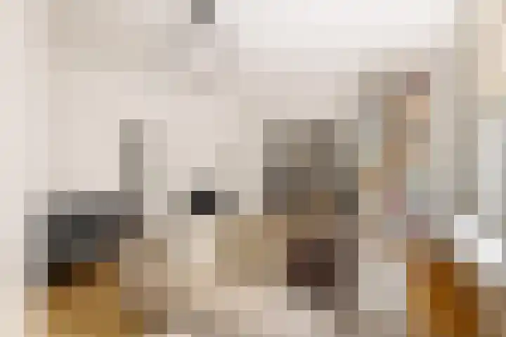 Tintorettostraat 8 H Amsterdam thumbnail 9