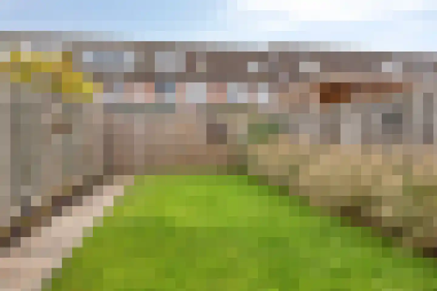 Tinus Bruinrede 4 Capelle aan den IJssel thumbnail 10