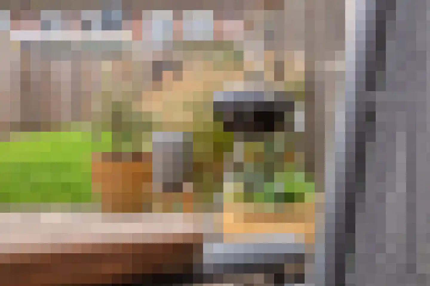 Tinus Bruinrede 4 Capelle aan den IJssel thumbnail 13