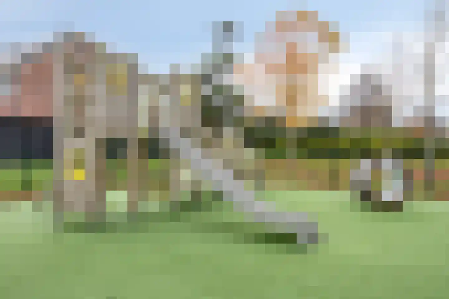 Tinus Bruinrede 4 Capelle aan den IJssel thumbnail 36