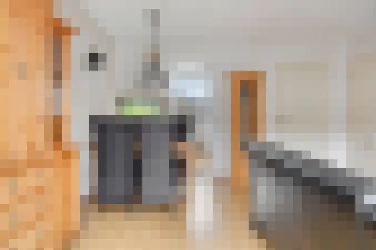 Tinus Bruinrede 4 Capelle aan den IJssel thumbnail 6