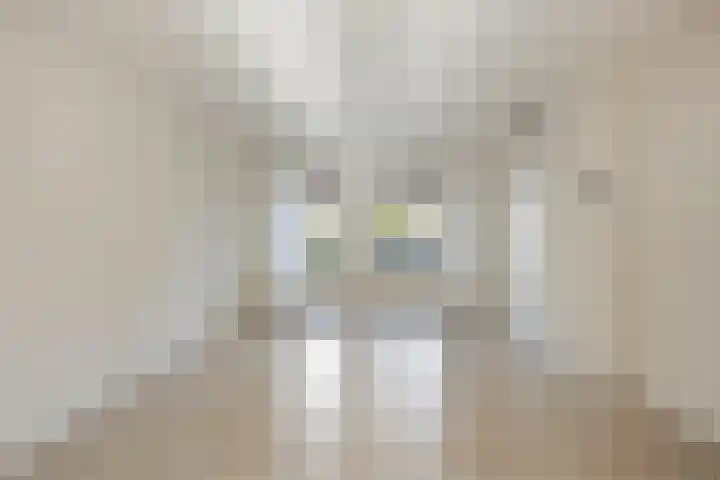 Tiny Imkampstraat 11 Roermond thumbnail 10