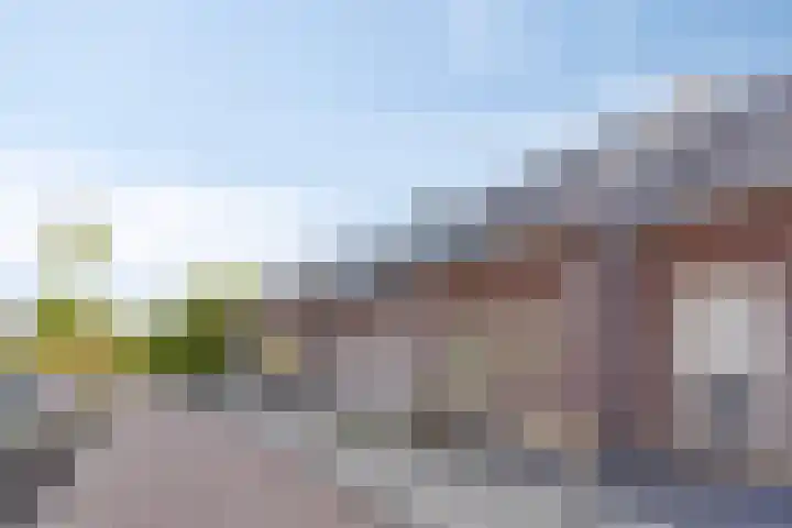 Tiny Imkampstraat 11 Roermond thumbnail 29