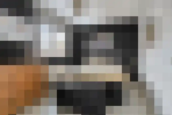Tiny Imkampstraat 14 Roermond thumbnail 12