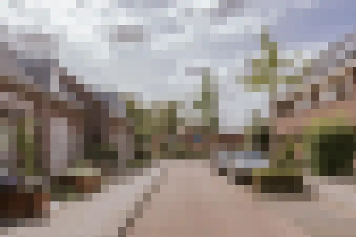 Tiny Imkampstraat 14 Roermond thumbnail 13