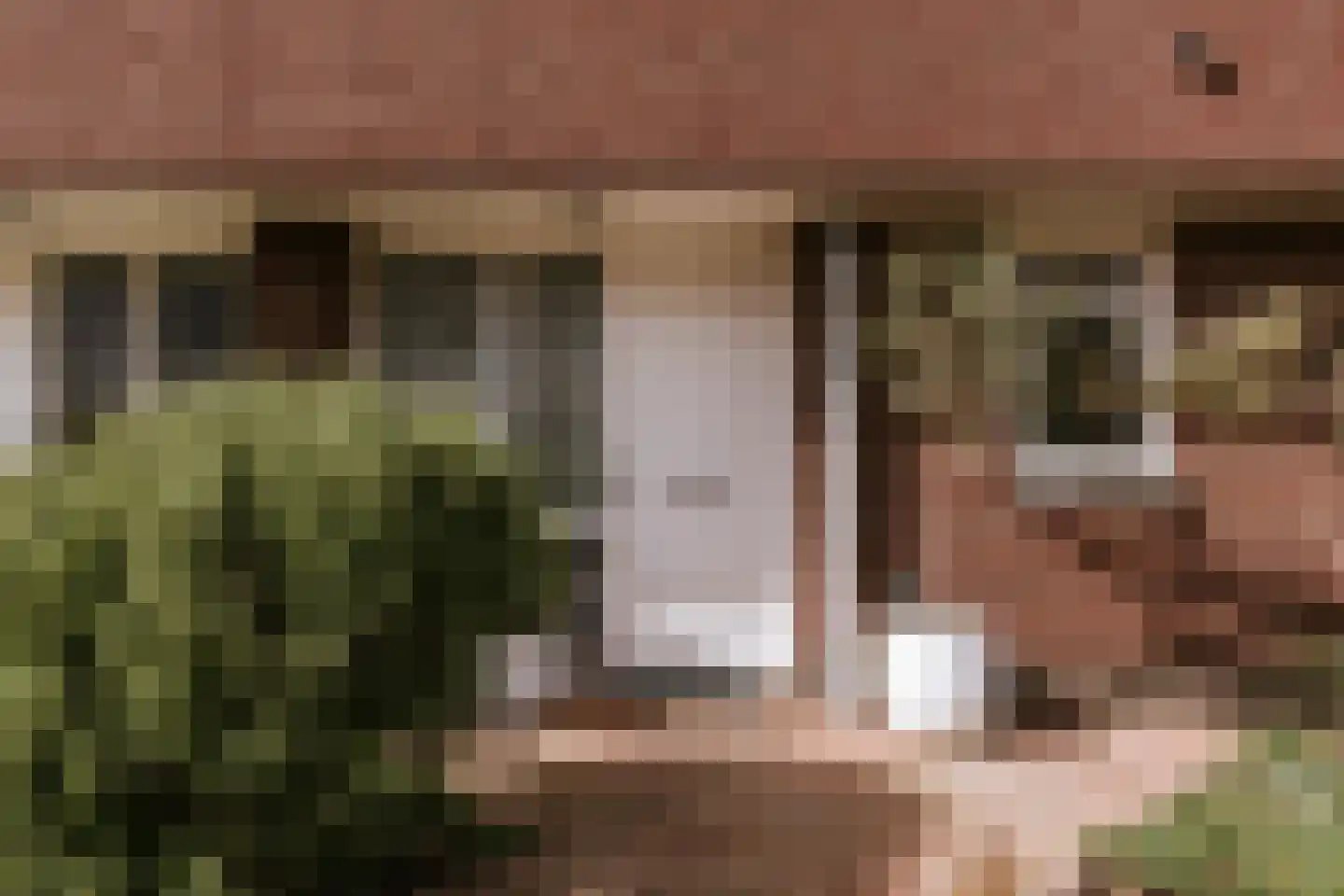 Tiny Imkampstraat 14 Roermond thumbnail 15