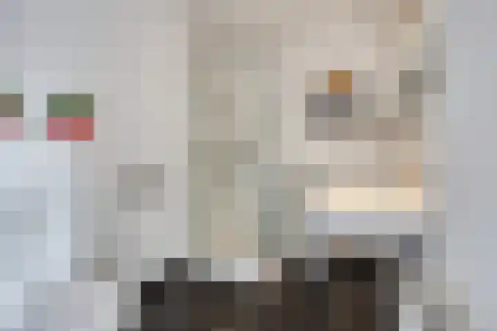 Tiny Imkampstraat 14 Roermond thumbnail 18