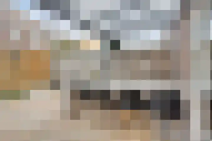 Tiny Imkampstraat 14 Roermond thumbnail 24