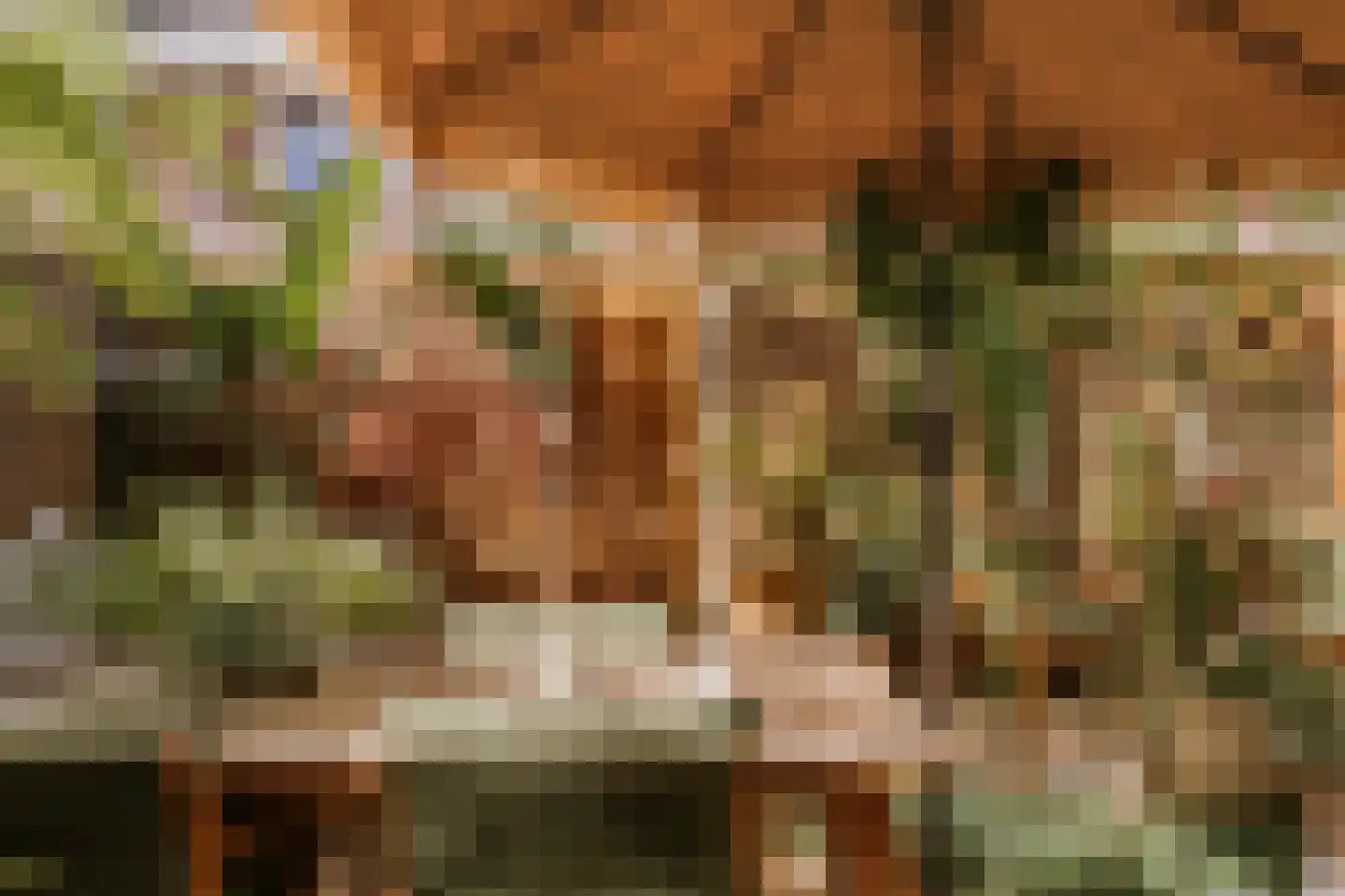 Tiny Imkampstraat 14 Roermond thumbnail 27