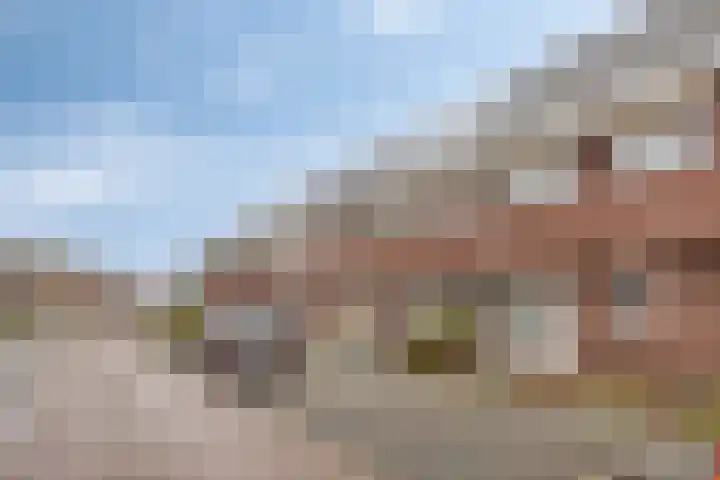 Tiny Imkampstraat 14 Roermond thumbnail 27