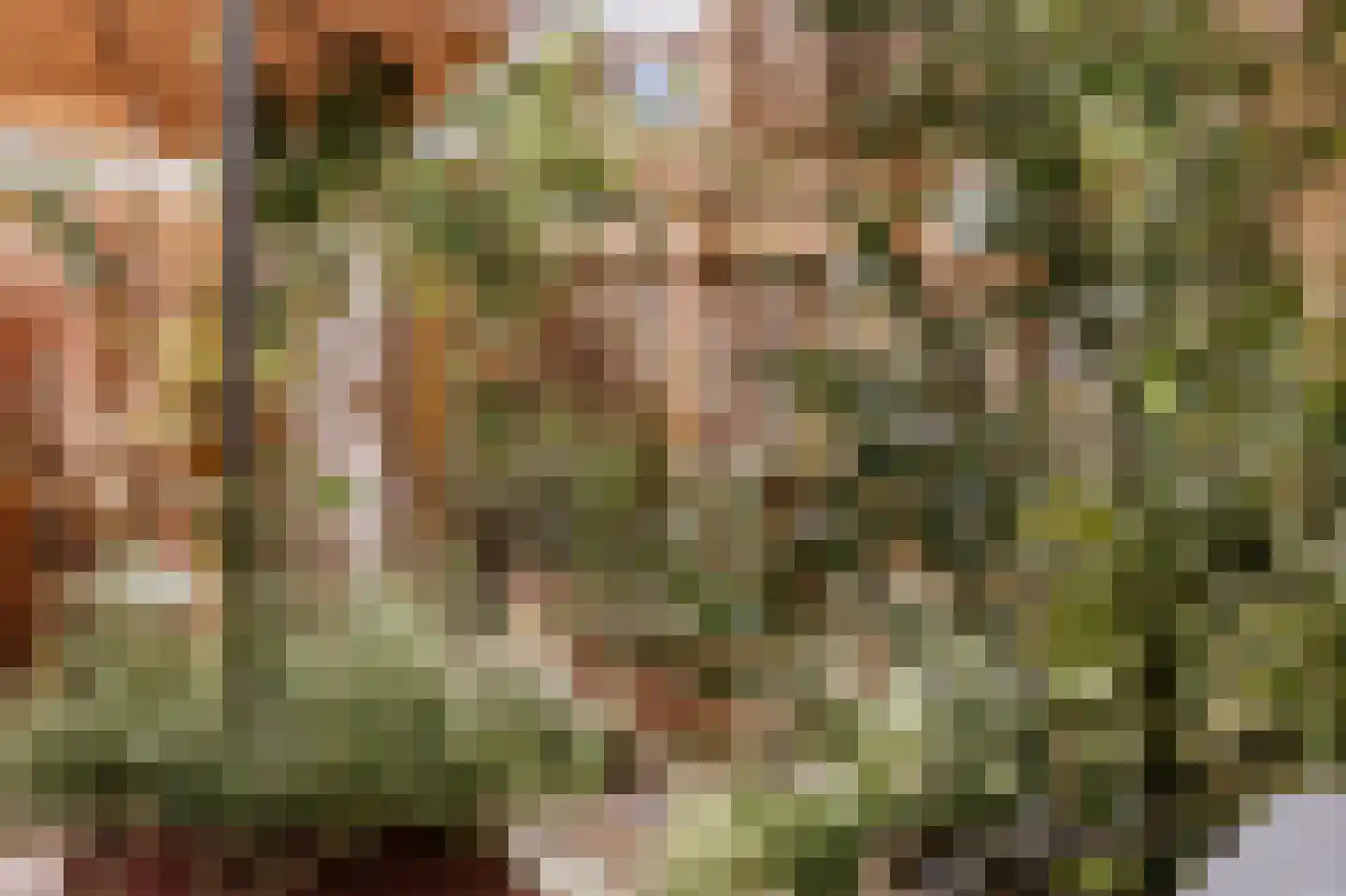 Tiny Imkampstraat 14 Roermond thumbnail 28