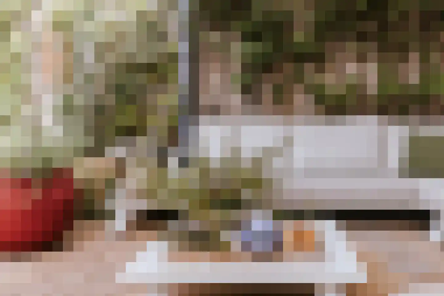 Tiny Imkampstraat 14 Roermond thumbnail 29