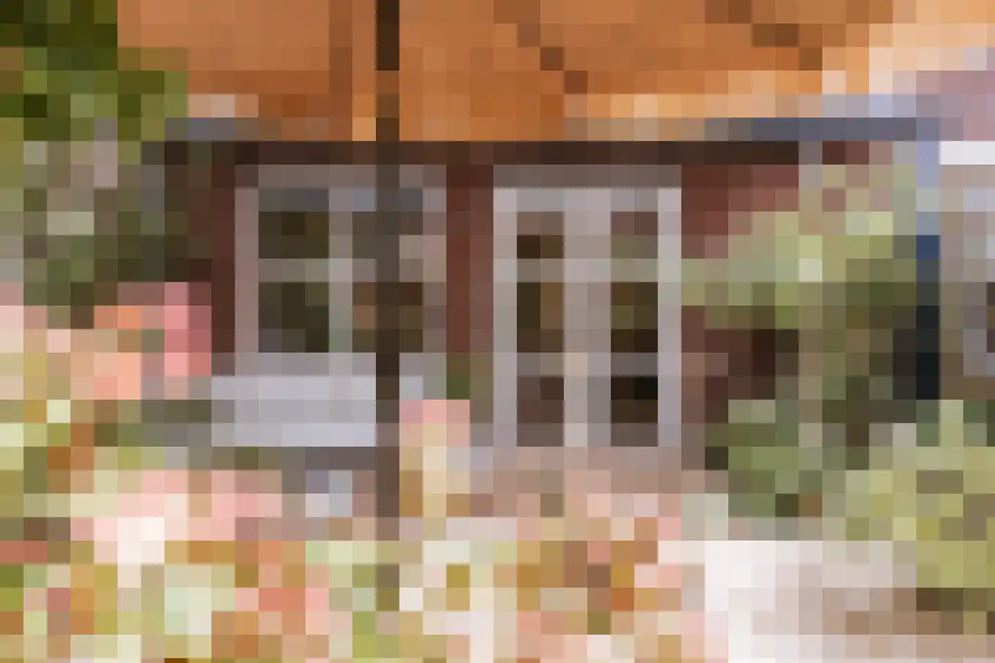 Tiny Imkampstraat 14 Roermond thumbnail 30