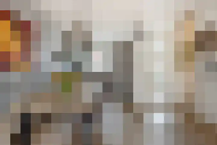 Tiny Imkampstraat 14 Roermond thumbnail 6