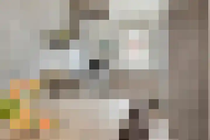 Tiny Imkampstraat 14 Roermond thumbnail 7