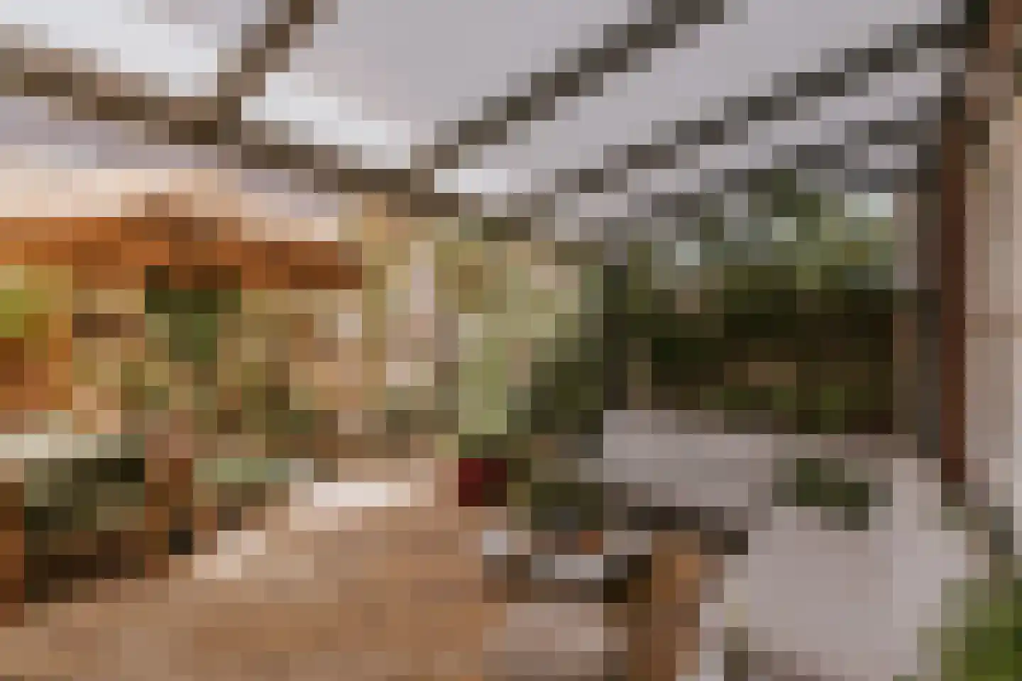 Tiny Imkampstraat 14 Roermond thumbnail 7