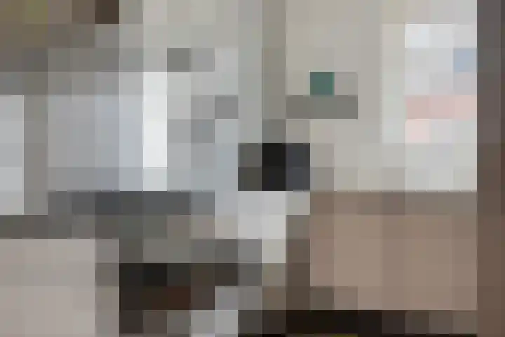 Tiny Imkampstraat 14 Roermond thumbnail 9