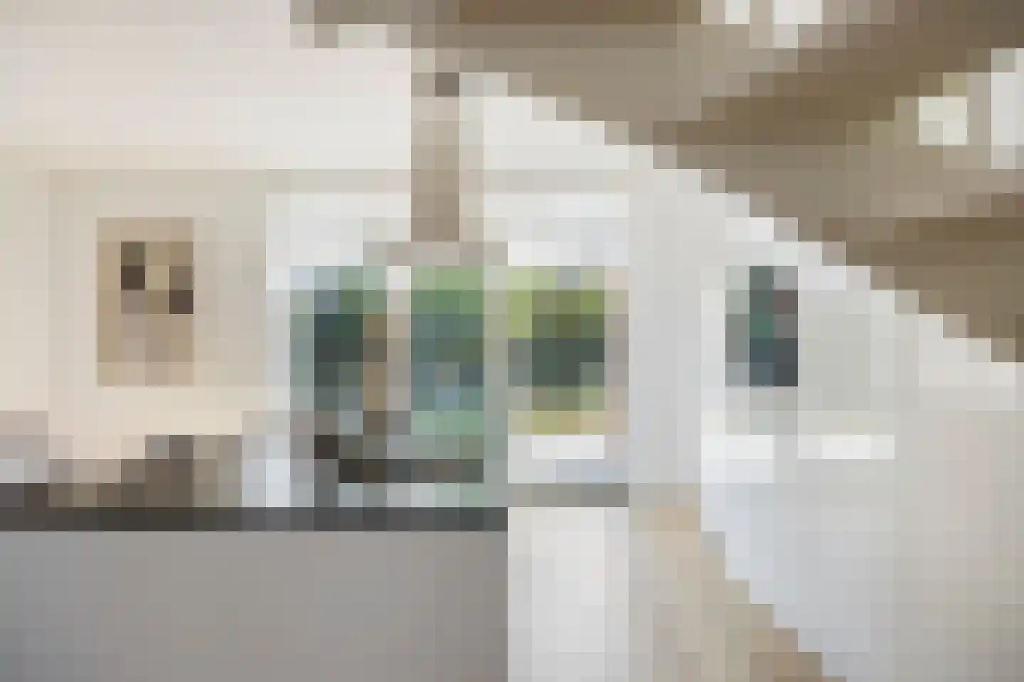 Tiny Verlinden - Bremmersstraat 31 Roermond thumbnail 23