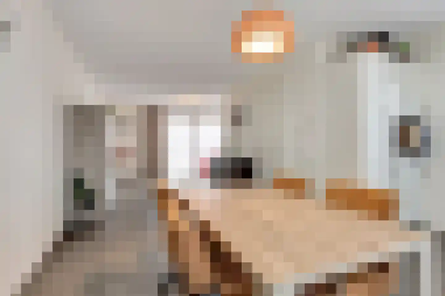 Tiny Verlinden - Bremmersstraat 43 Roermond thumbnail 9