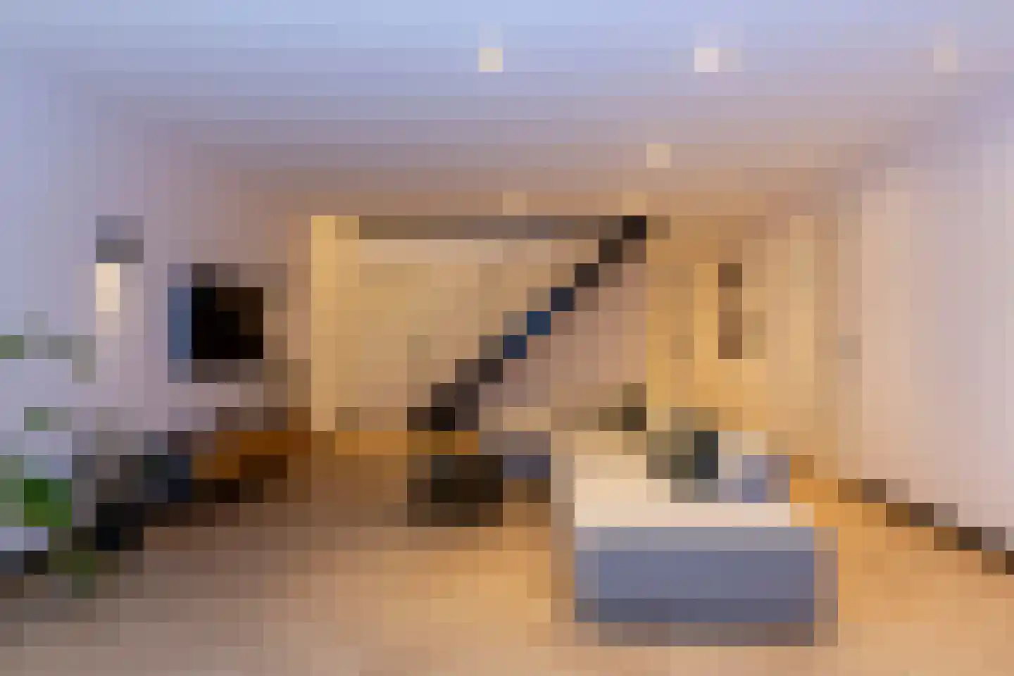 Tip Maruggstraat 1 E Amsterdam thumbnail 26