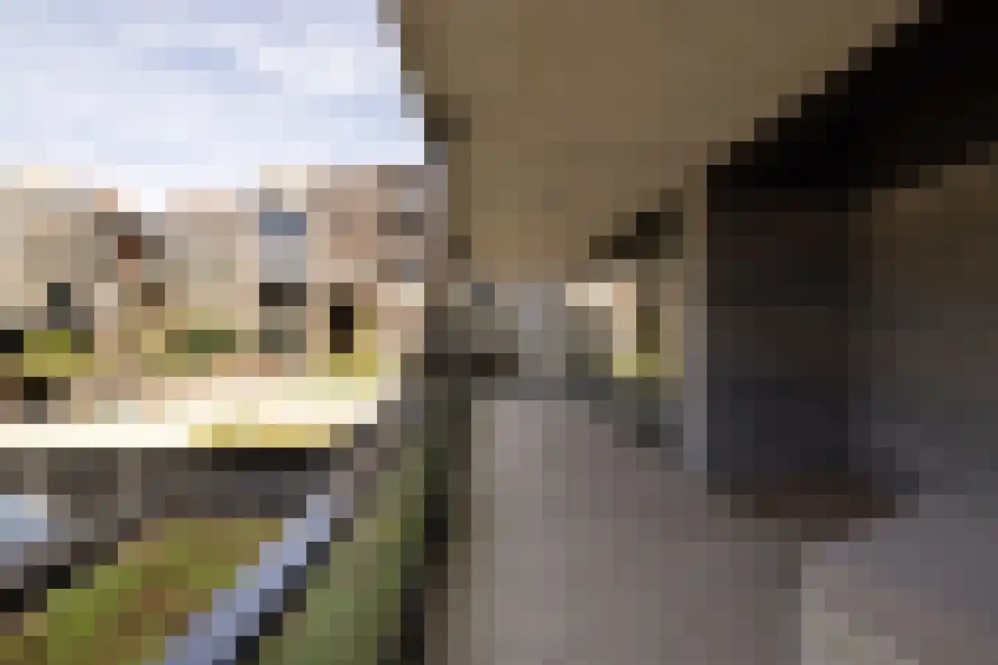 Tip Maruggstraat 1 E Amsterdam thumbnail 45