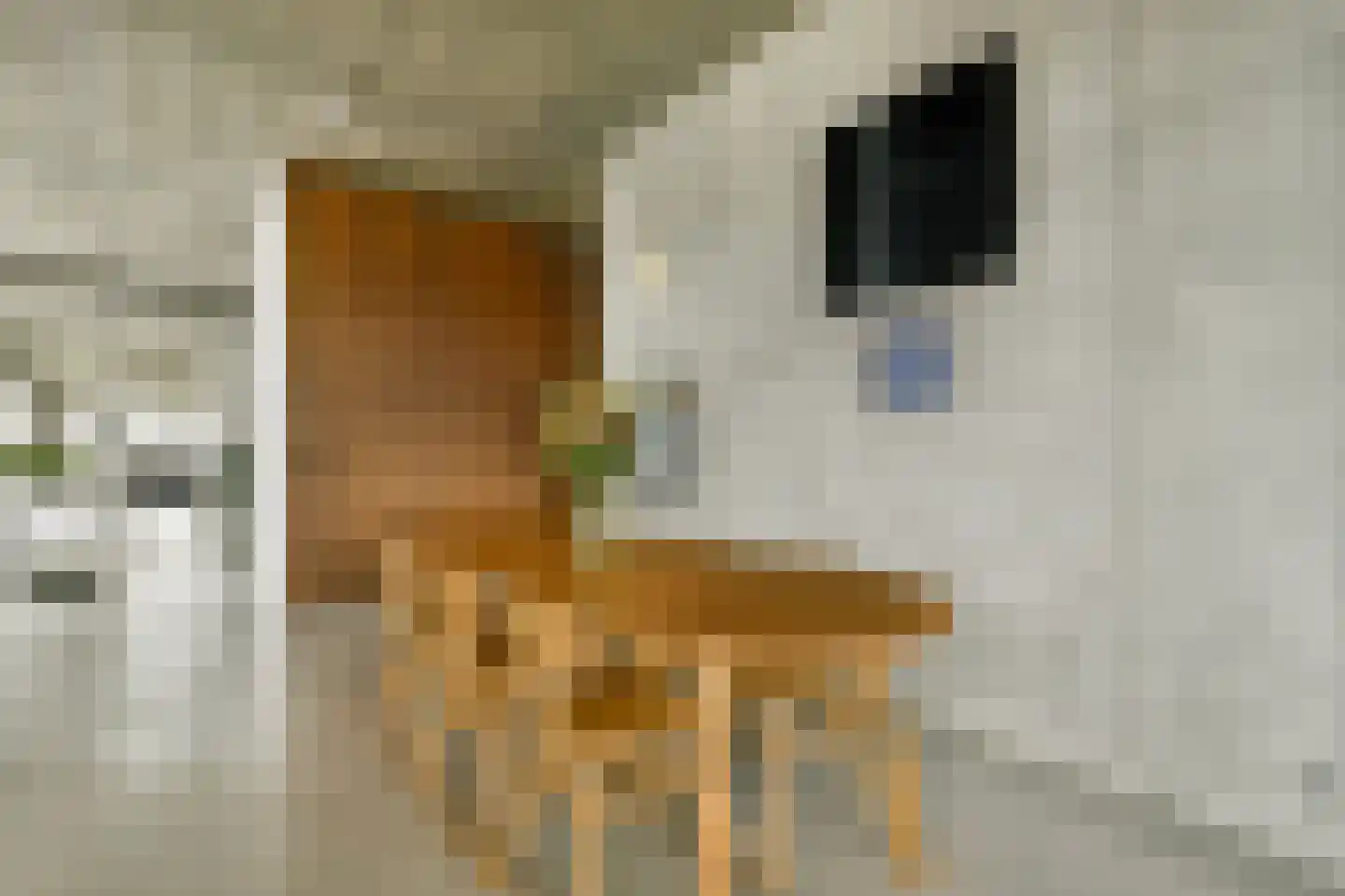 Tip Maruggstraat 38 Amsterdam thumbnail 4