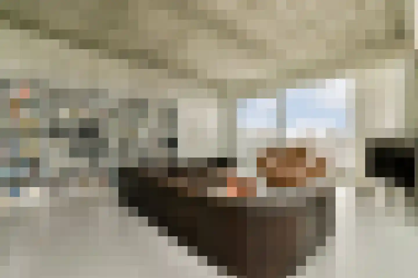 Tip Maruggstraat 38 Amsterdam thumbnail 9