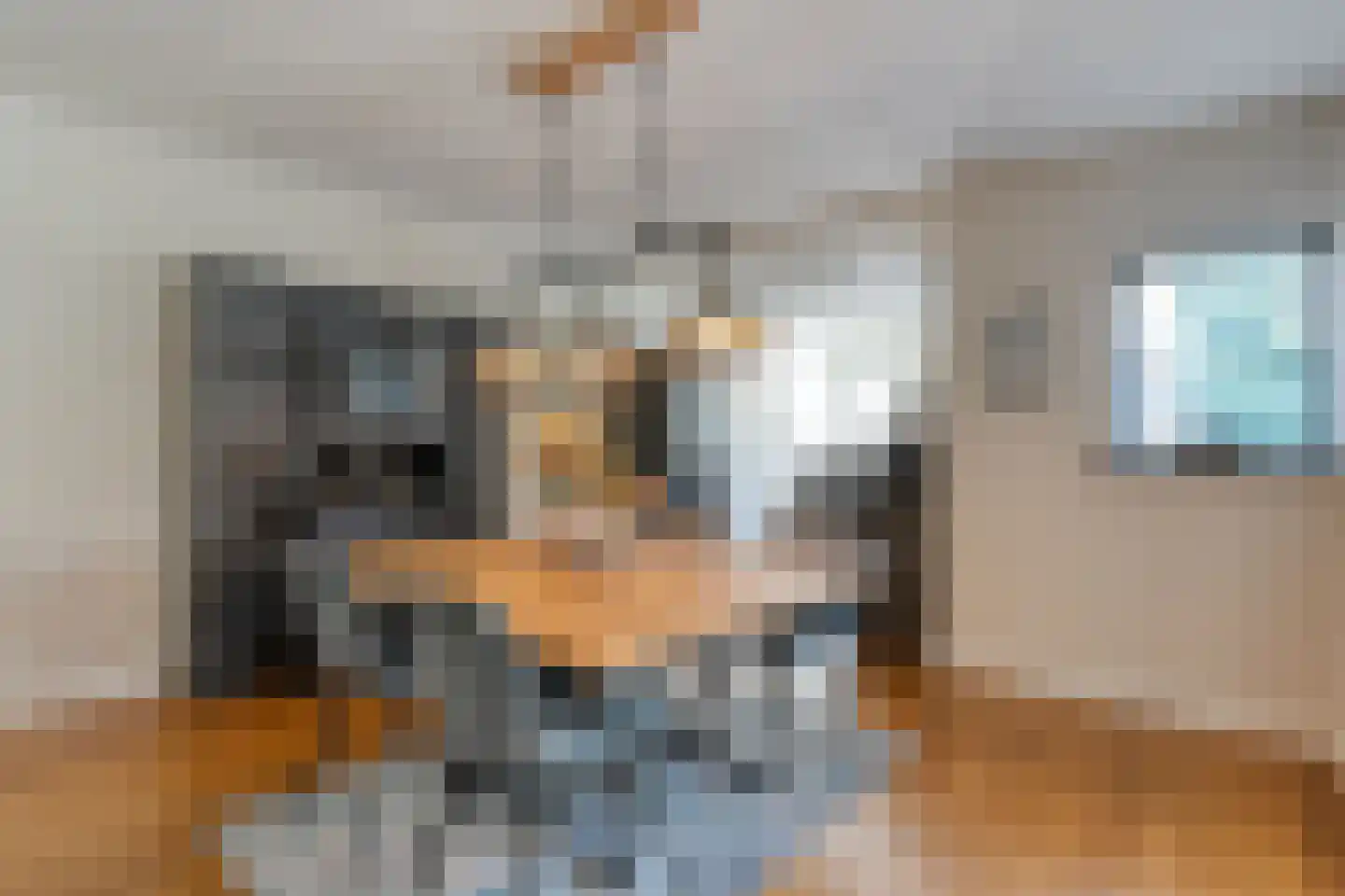 Tipakker 16 Havelte thumbnail 13
