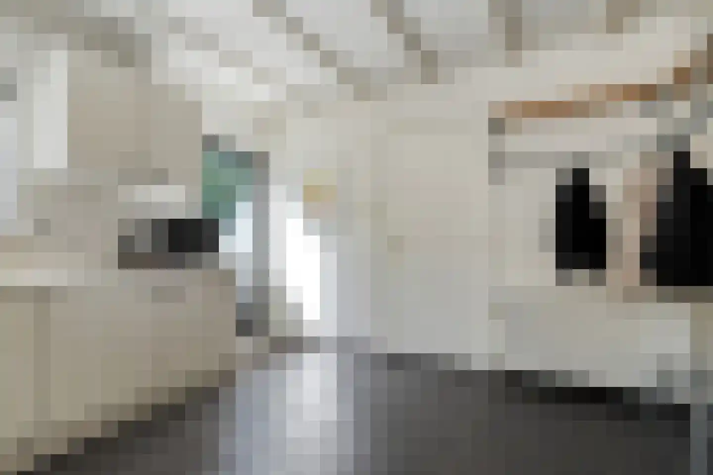Tipakker 16 Havelte thumbnail 20
