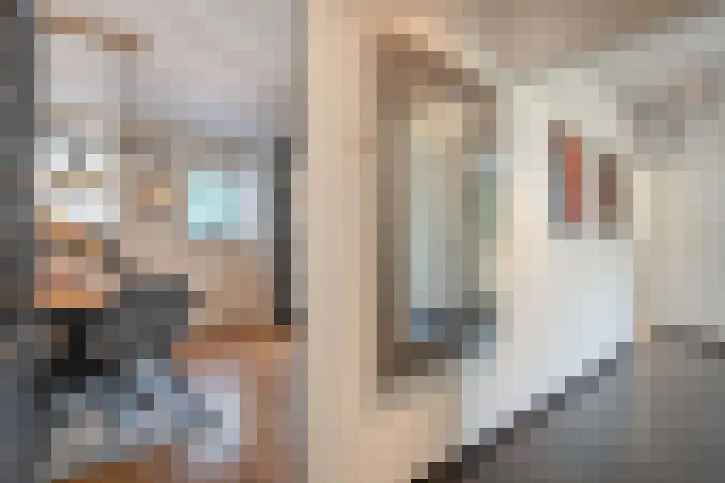 Tipakker 16 Havelte thumbnail 25