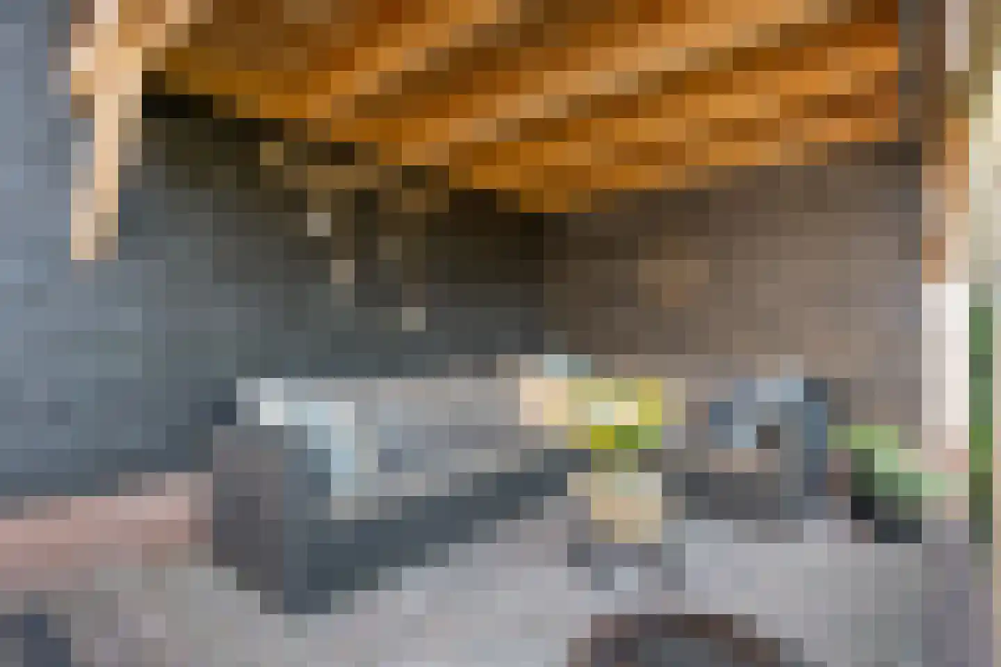 Tipakker 16 Havelte thumbnail 58