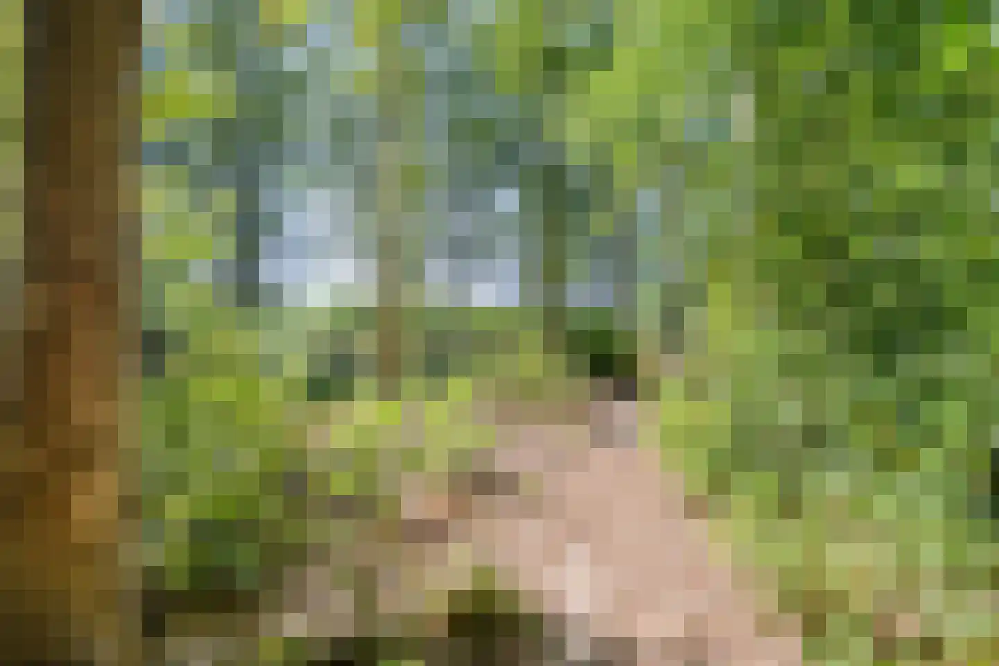 Tipakker 16 Havelte thumbnail 78