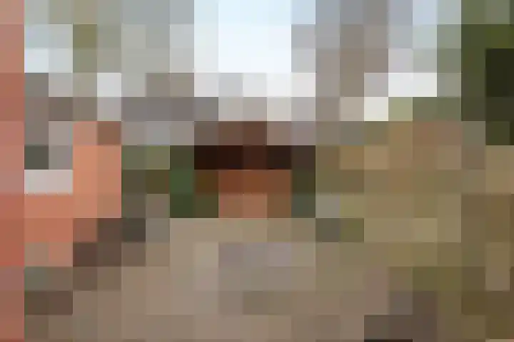Tiphofweg 8 Zuidlaren thumbnail 11