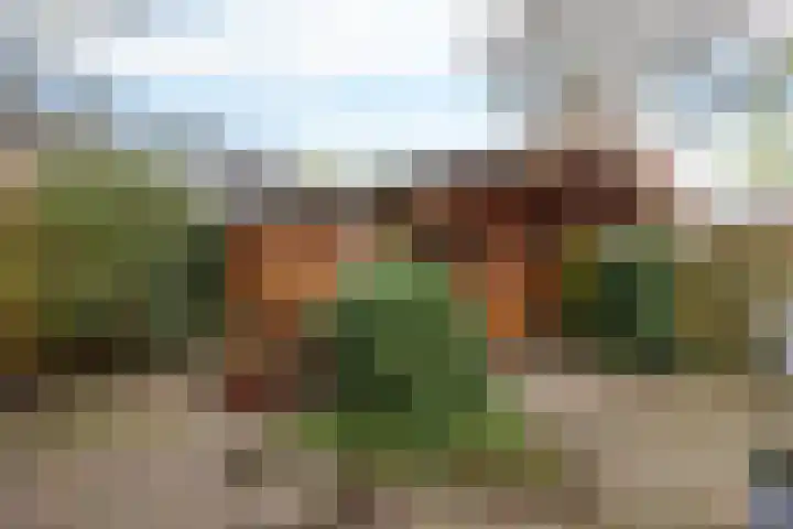 Tiphofweg 8 Zuidlaren thumbnail 12