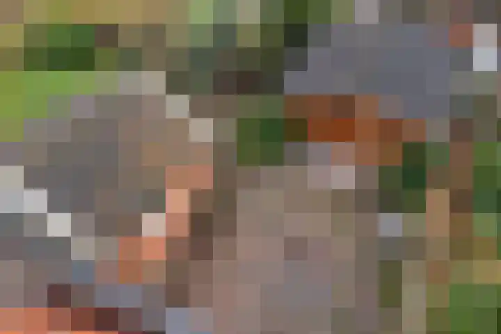 Tiphofweg 8 Zuidlaren thumbnail 15