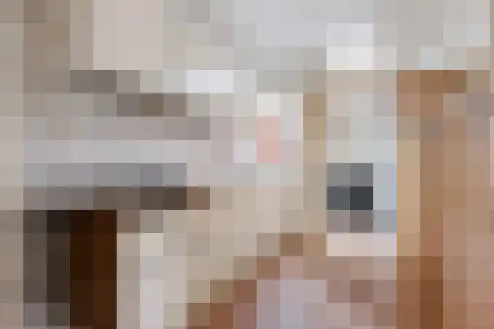 Tiphofweg 8 Zuidlaren thumbnail 20