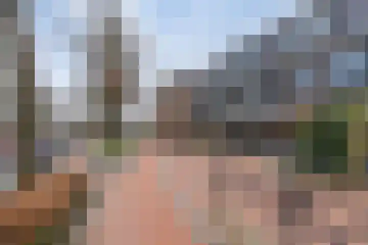 Tiphofweg 8 Zuidlaren thumbnail 33