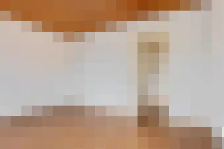 Tiphofweg 8 Zuidlaren thumbnail 4