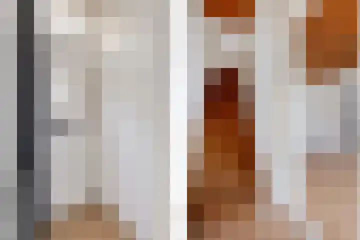 Tiphofweg 8 Zuidlaren thumbnail 6