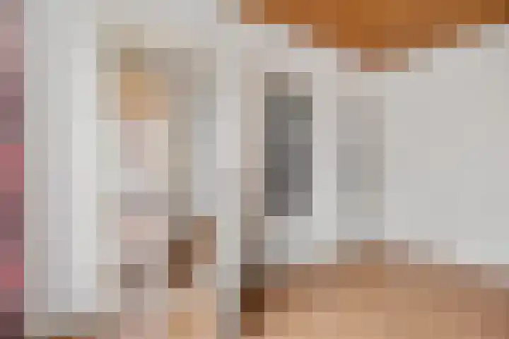 Tiphofweg 8 Zuidlaren thumbnail 7