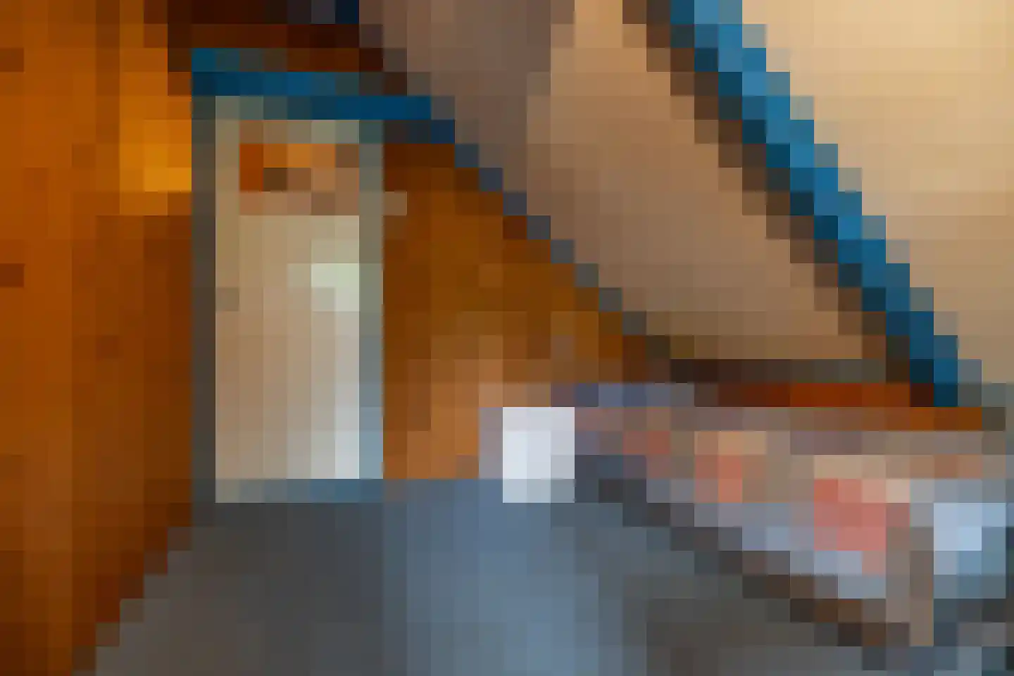 Tiphofweg 9 Zuidlaren thumbnail 30
