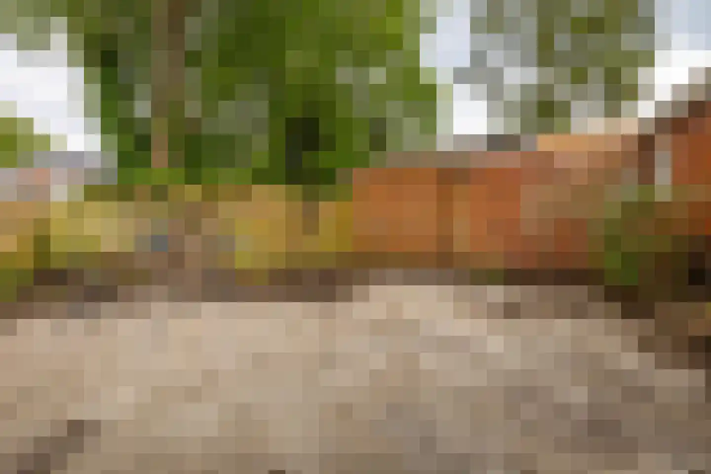 Tiphofweg 9 Zuidlaren thumbnail 31